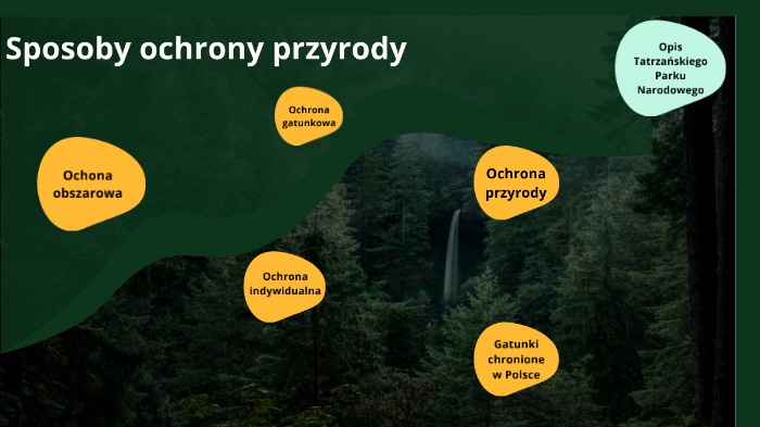 Sposoby Ochrony Przyrody Sposoby ochrony przyrody by Anna Bzdyk on Prezi