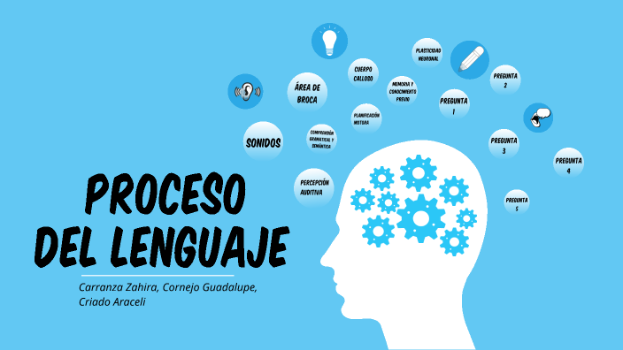 El Proceso del Lenguaje en el Cerebro by Zahira Carranza on Prezi