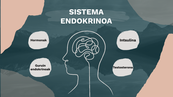 SISTEMA ENDOKRINOA by claudia mg on Prezi