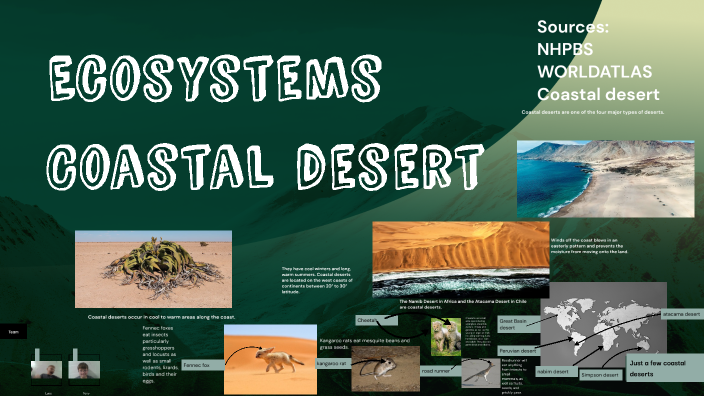 ecosystems by Anthony Vogel on Prezi