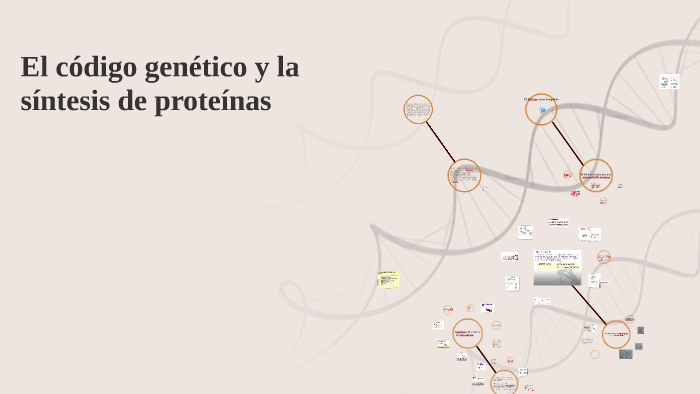 El Código Genético Y La Síntesis De Proteínas By Alexis Landero Mayo On Prezi 9054
