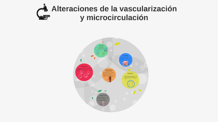 Alteraciones De La Vascularización Y Microcirculación By Nekane Lopez On Prezi 4613