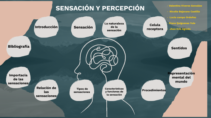 SENSACIÓN Y PERCEPCION by MARIA ALEJANDRA MARIN CAMPO on Prezi