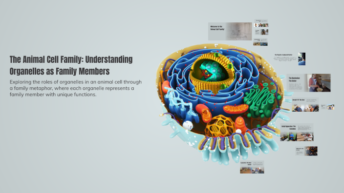 The Animal Cell Family: Understanding Organelles as Family Members by ...