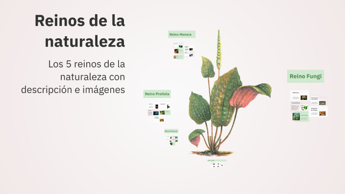 Reinos de la naturaleza by Maleny López on Prezi