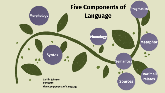 Five components of language by caitlin johnson