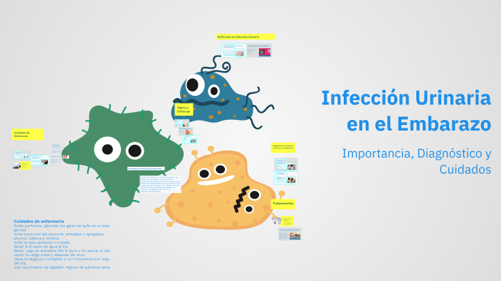 Infeccion Urinaria En El Embarazo Ppt prezi.com