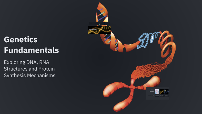 Genetics Fundamentals by Rasya Fitazazialf on Prezi