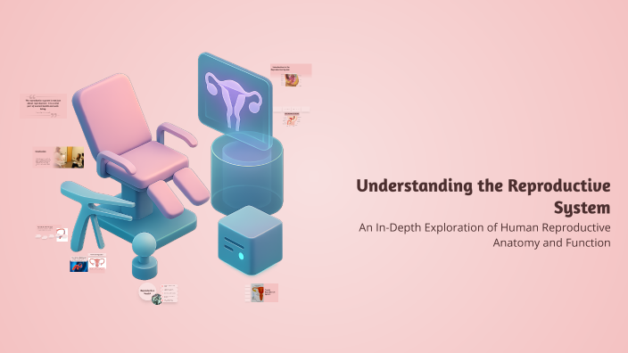 Understanding the Reproductive System by Blake Needham on Prezi