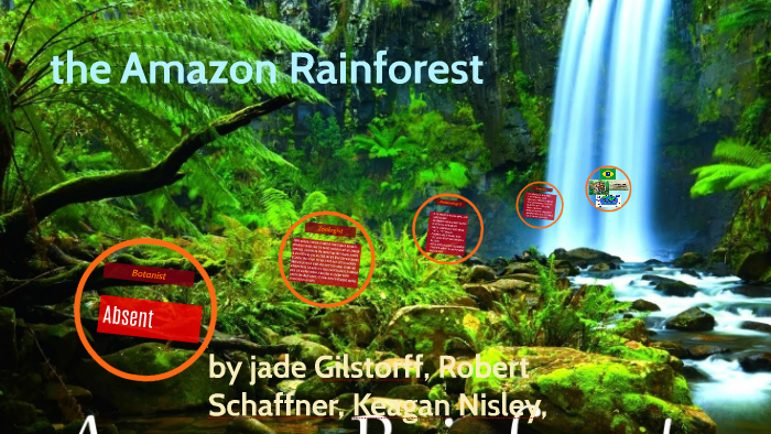 the Amazon Rainforest by Jade Gilstorff on Prezi