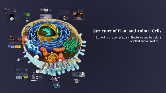 Structure of Plant and Animal Cells by Khian Slime on Prezi