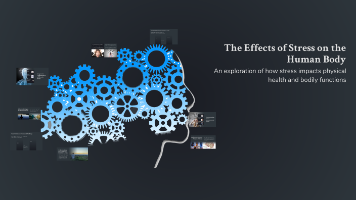 The Effects of Stress on the Human Body by Tiffany Chun on Prezi