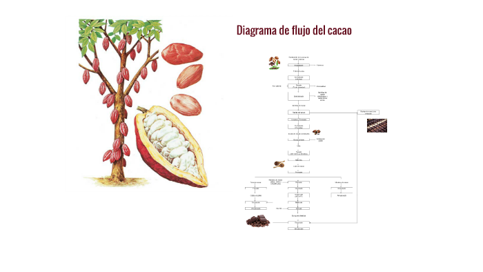 67jiijct5jfekkiysvsuktzidp6jc3sachvcdoaizecfr3dnitcq_3_0.png