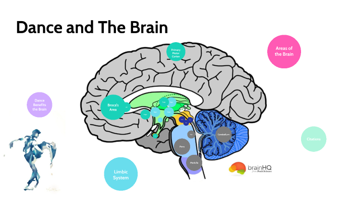 Dance and The Brain by Laura Schoenhals on Prezi