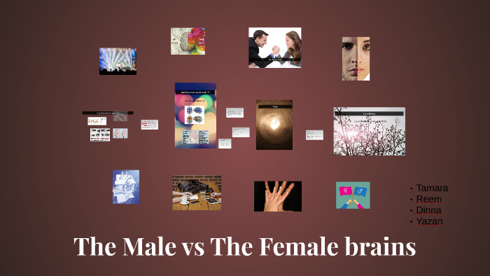 The Male vs The Female brains by tamara twal on Prezi