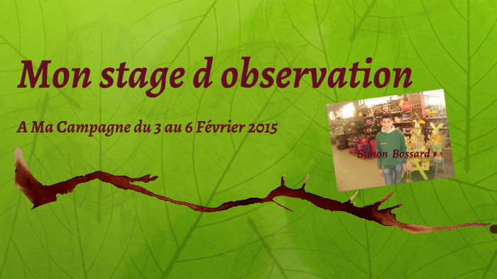 comment faire un stage d'observation