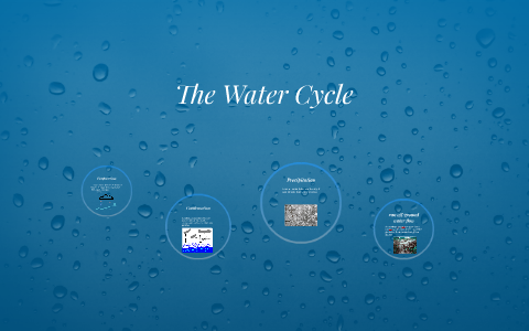 The Water Cycle by abbie m on Prezi