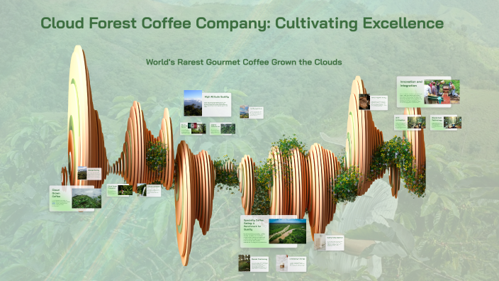 Cloud Forest Coffee Company: Cultivating Excellence by Stephen Carson ...