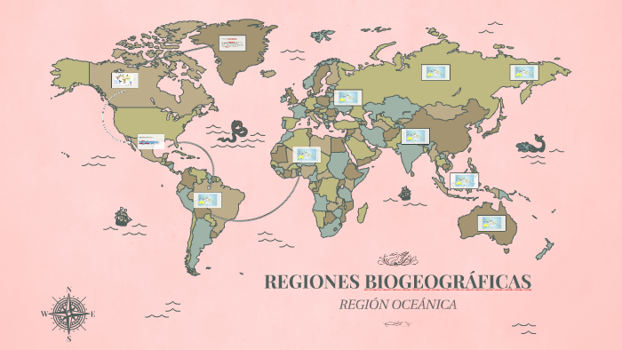 REGIONES BIOGEOGRÁFICAS by Diana Hernandez on Prezi