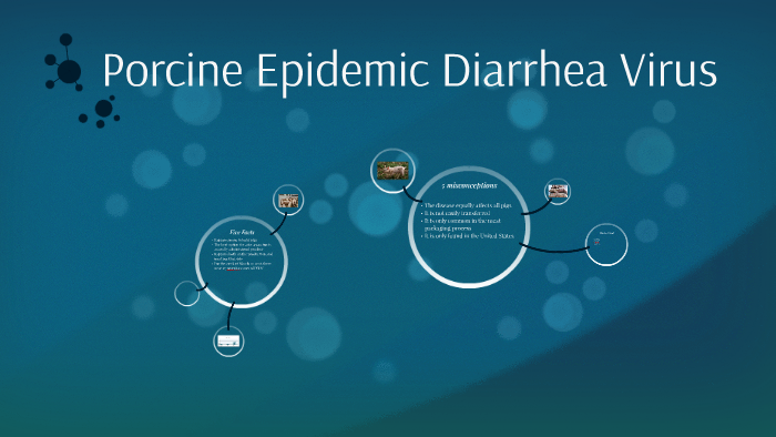 Porcine Epidemic Diarrhea Virus By   6ag7fjwpizzc6ome5xhpgczwlp6jc3sachvcdoaizecfr3dnitcq 3 0 