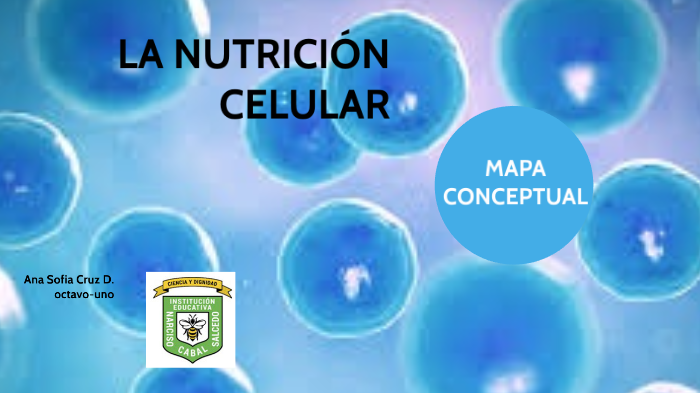 La Nutricion Celular - Ciencias By Ana Sofia Cruz