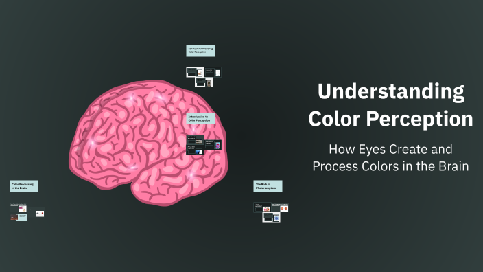 Understanding Color Perception by kohl stephen on Prezi