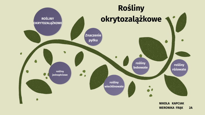 Pytania Na Sprawdzian Z Roślin Okrytozalążkowych prezi.com