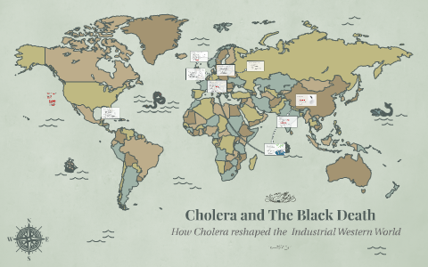 Cholera and The Black Death by Nick Jones on Prezi