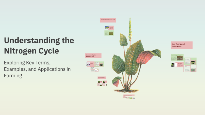 Understanding the Nitrogen Cycle by Monica Alcala on Prezi