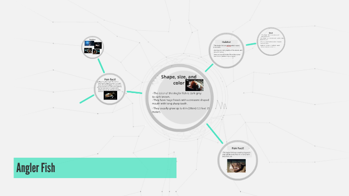 Angler Fish by Caleb Grudzinski on Prezi