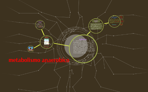 metabolismo anaerobico by juan felipe gustin garcia on Prezi