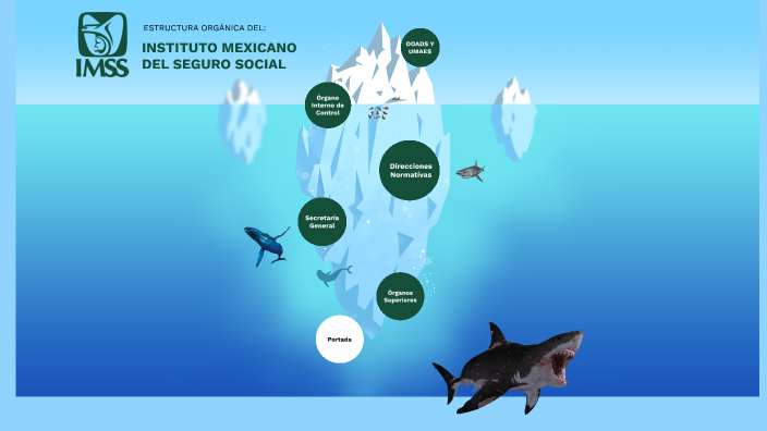 Imss Estructura OrgÁnica By Test Onine On Prezi 0170