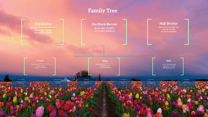 family tree by on Prezi