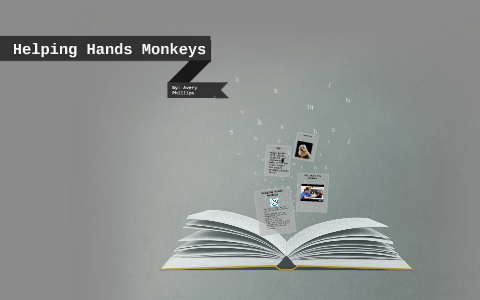 Helping Hands Monkeys by secret girl secret on Prezi