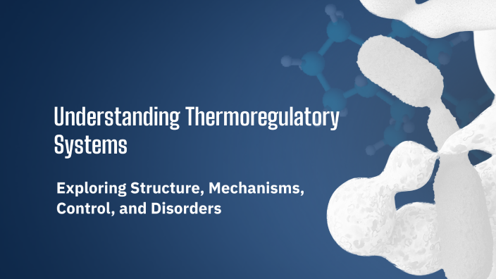 Understanding Thermoregulatory Systems by Eleanor Housden on Prezi - Sustainable Thermoregulatory Lacing Systems