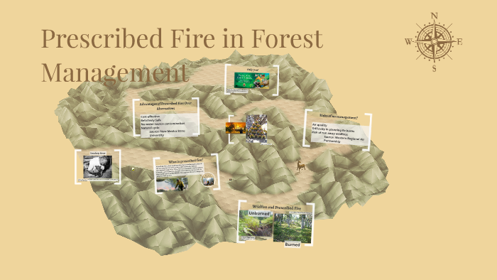 Prescribed Fire In Forest Management By Charles Moss On Prezi