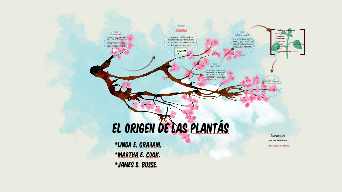 EL ORIGEN DE LAS PLANTAS by isabel vanegas