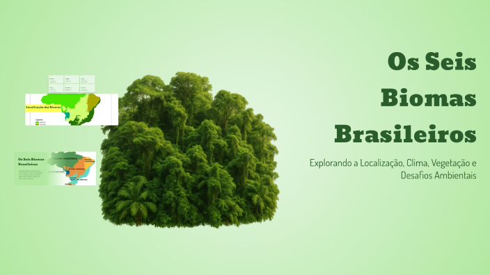 Os Seis Biomas Brasileiros by a v on Prezi