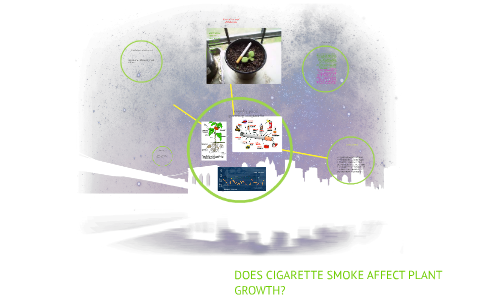 DOES CIGARETTE SMOKE AFFECT PLANT GROWTH? by flore metellus on Prezi