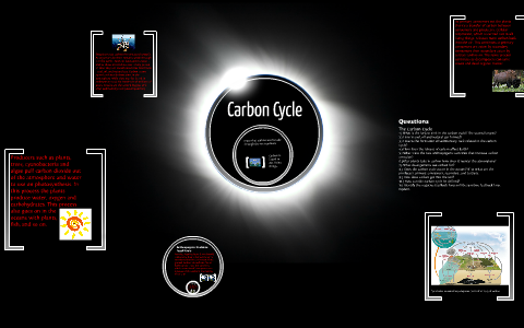 Carbon Cycle by Athziri C on Prezi