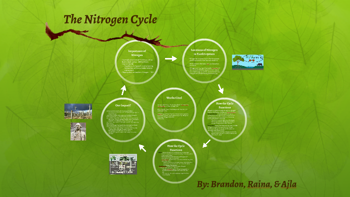 Nitrogen Cycle by Brandon Jones on Prezi