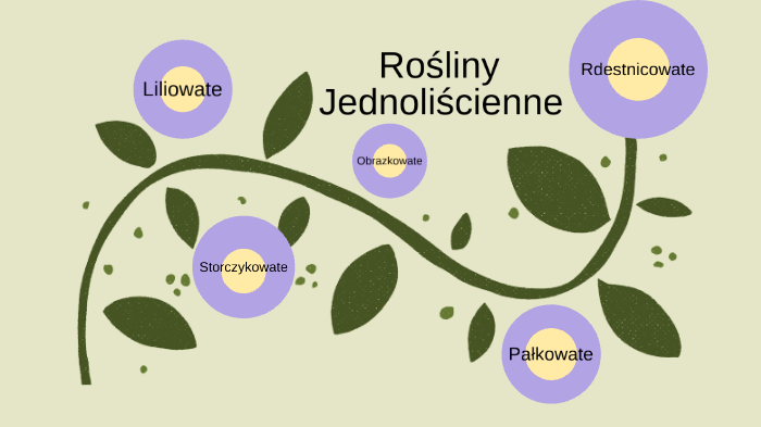 Rośliny Jednoliścienne Przykłady