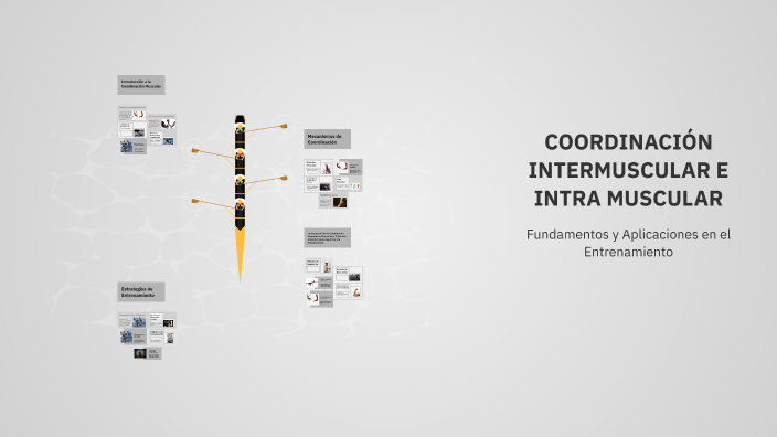 COORDINACIÓN INTERMUSCULAR E INTRA MUSCULAR by Isaac Smith Ariza Solano ...