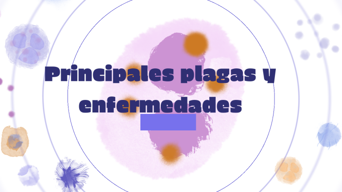 Principales Plagas Y Enfermedades By Lía Fernández Santos On Prezi Next