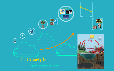 The Carbon Cycle by kylie zaccaro on Prezi