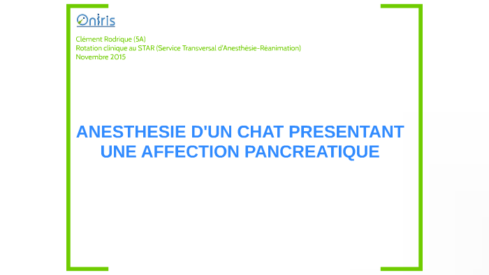 Anesthesie D Un Chat Presentant Une Affection Pancreatique By Clement Rodrique Anesthesie D Un Chat Presentant Une Affection Pancreatique By Clement Rodrique