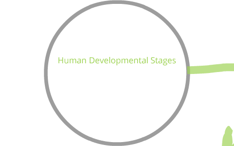 Human Development Stages by Rachel Chludzinski on Prezi
