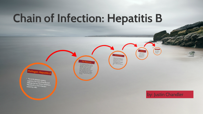 Chain Of Infection: Hepatitis B By Justin Chandler On Prezi