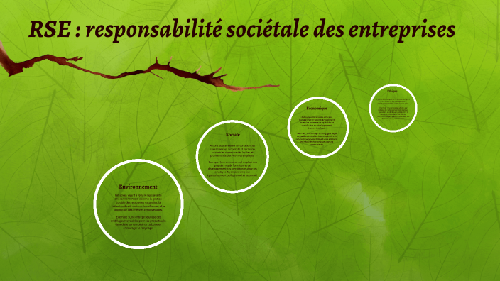 Présentation RSE by Gregorie BOULARAS on Prezi