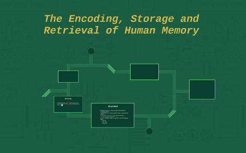 The Encoding Storage And Retrieval Of Human Memory By Michael The Encoding Storage And Retrieval Of Human Memory By Michael